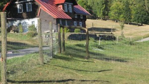 Stavba ohrady pro kozy